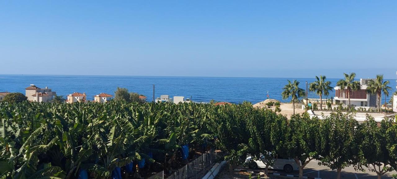 Harmony Seaview Apartments Pafos Dış mekan fotoğraf